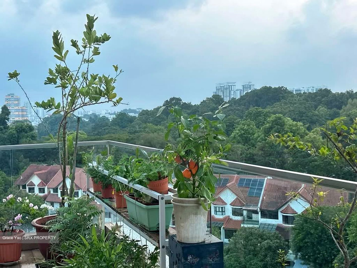 Park Natura (D23), Condominium #604706641